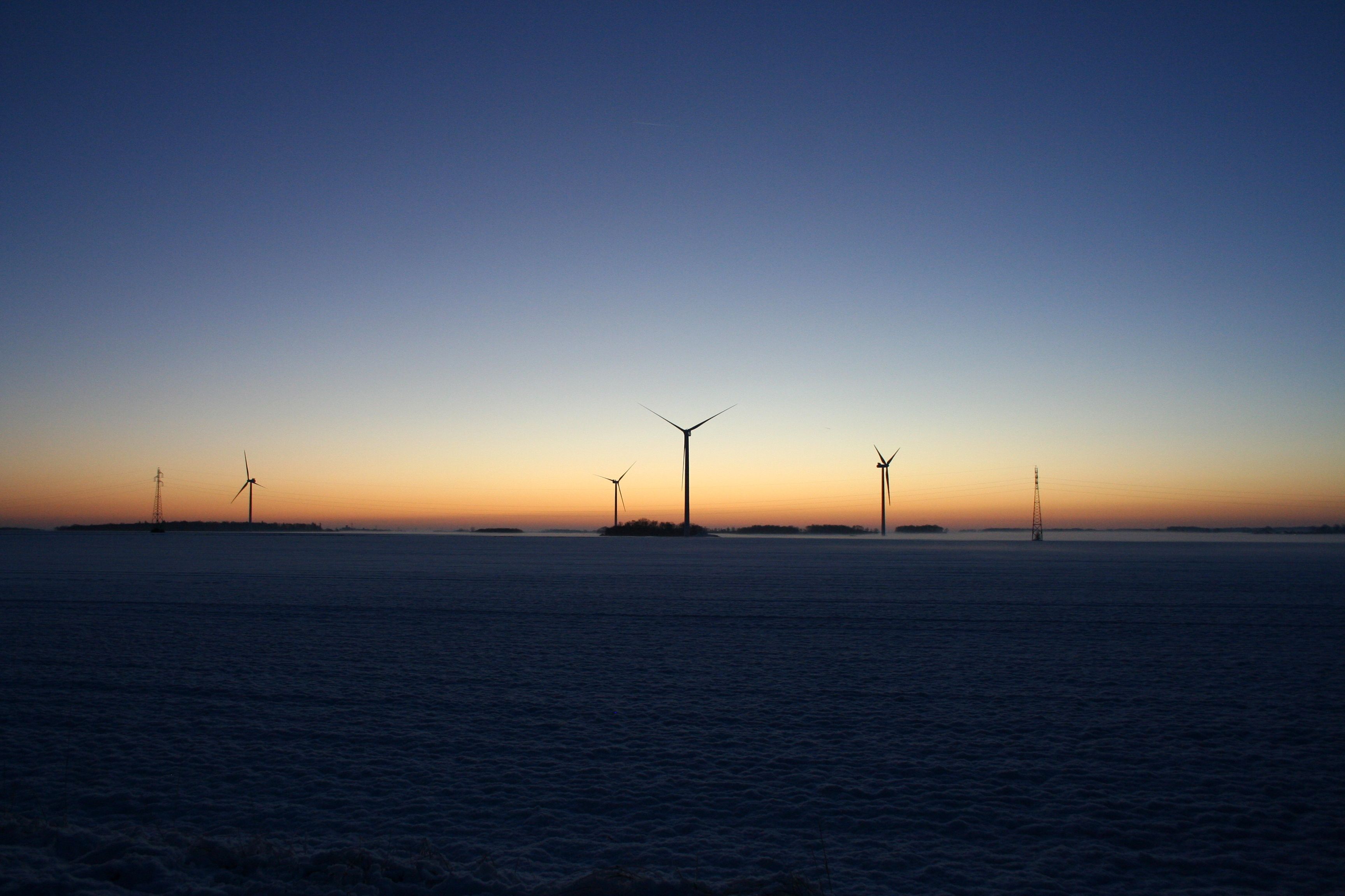 Champ eoliennes Roman