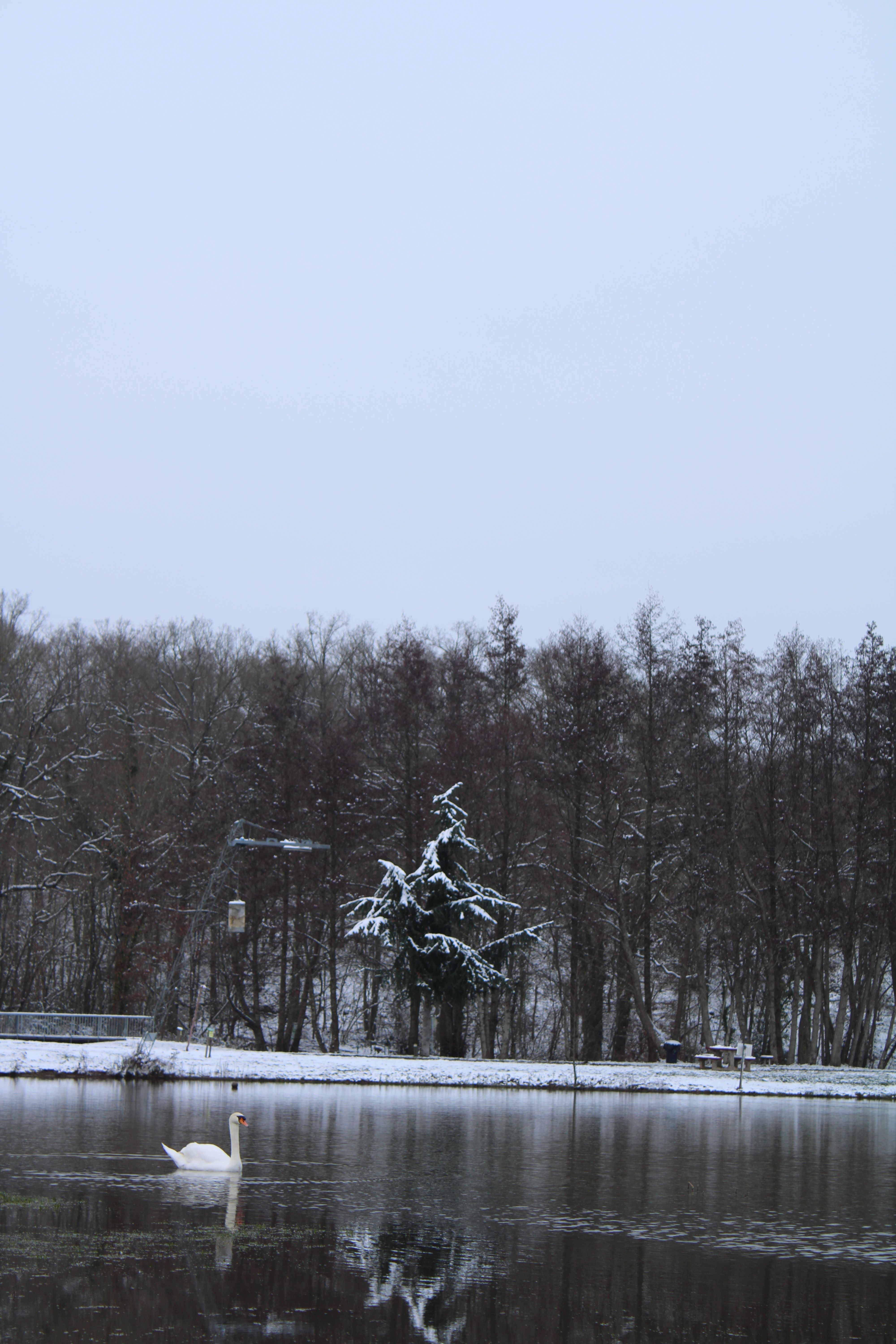 Etangs de Damville sous la neige